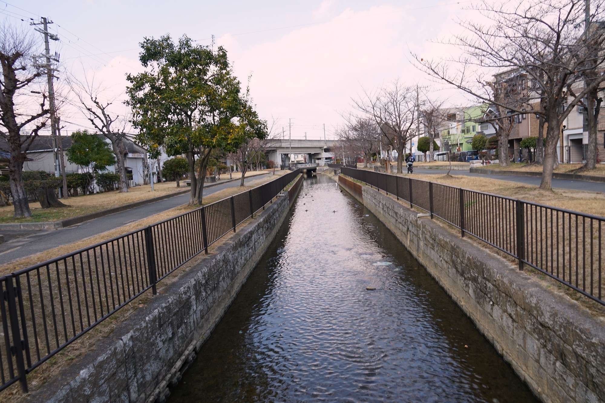 長瀬川沿い