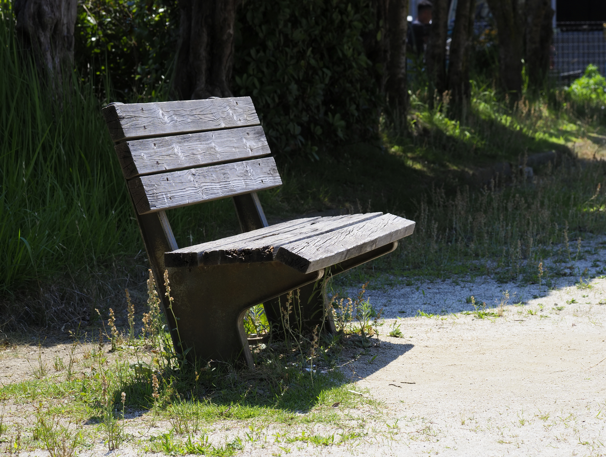 八戸ノ里公園